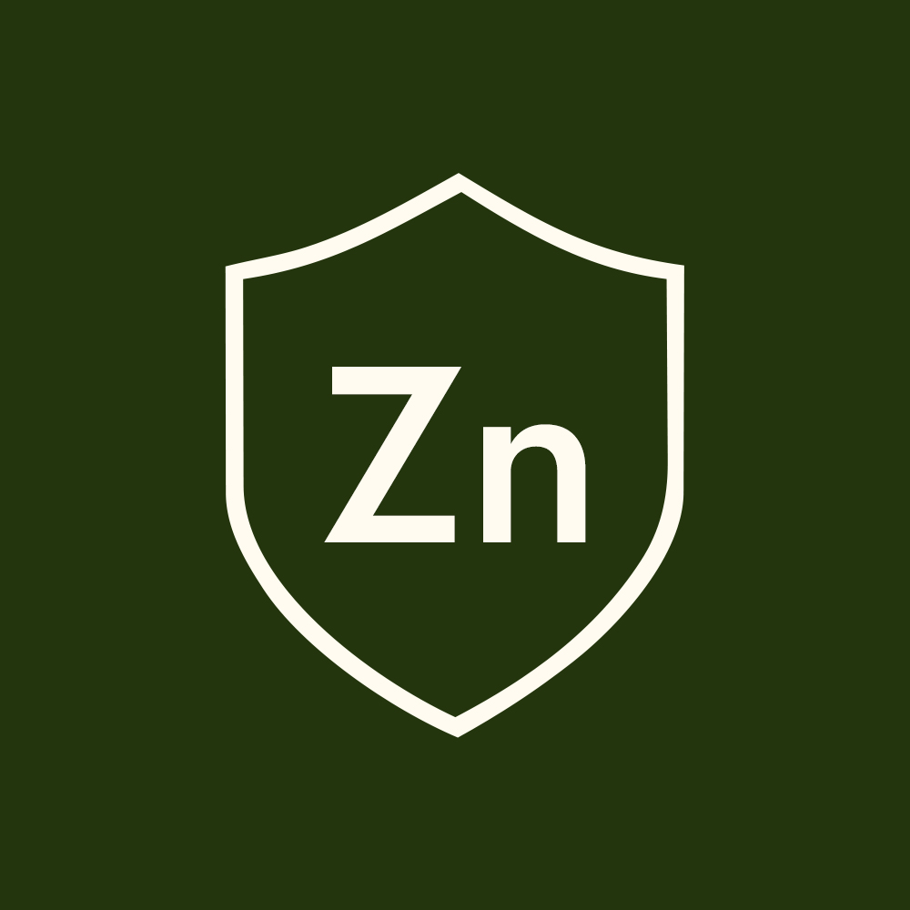 A white shield icon with the letters Zn inside on a dark green background.