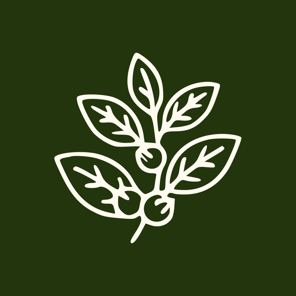 A white line drawing of a plant sprig with leaves and berries on a dark green background.