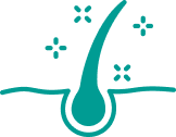 Illustration of a hair follicle with sparkles around it.