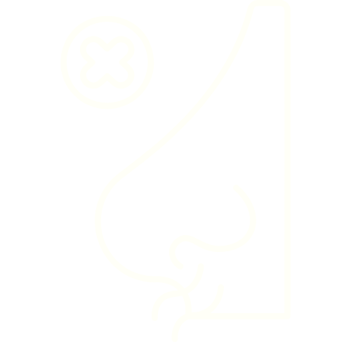 A white line icon of a nose with a crossed-out circle, representing loss of smell or a stuffy nose.