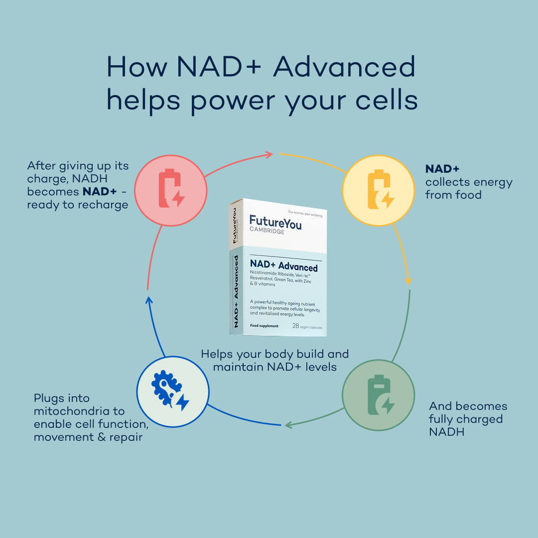 An infographic showing the cellular energy cycle with a box of NAD+ Advanced supplements in the middle.