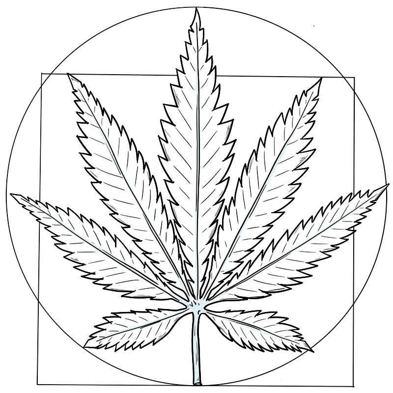 A white cannabis leaf illustration on a black background.