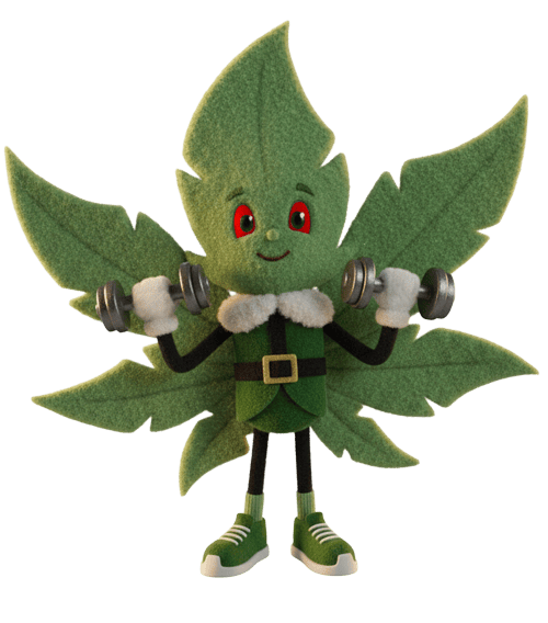 Leaf-shaped cartoon character lifting dumbbells.