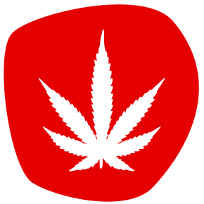 A white cannabis leaf silhouette on an irregular red background.