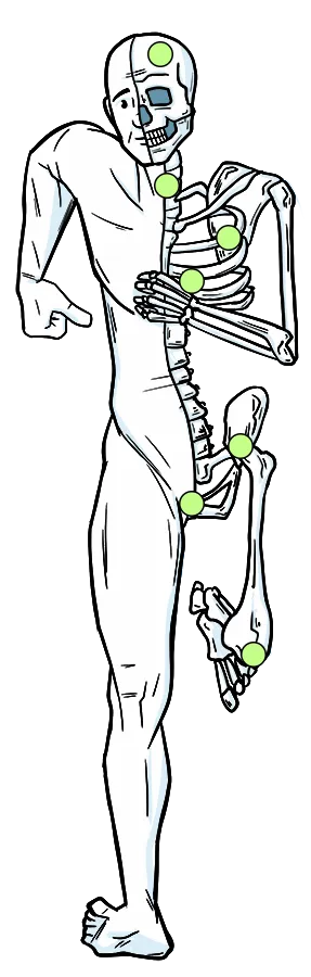 Illustration of a human body with half skeleton exposed and highlighted joints.