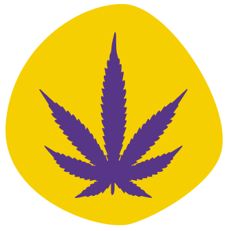 A purple cannabis leaf icon on an irregular yellow background.