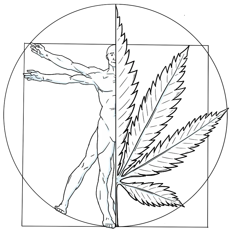 Half man, half cannabis leaf illustration.