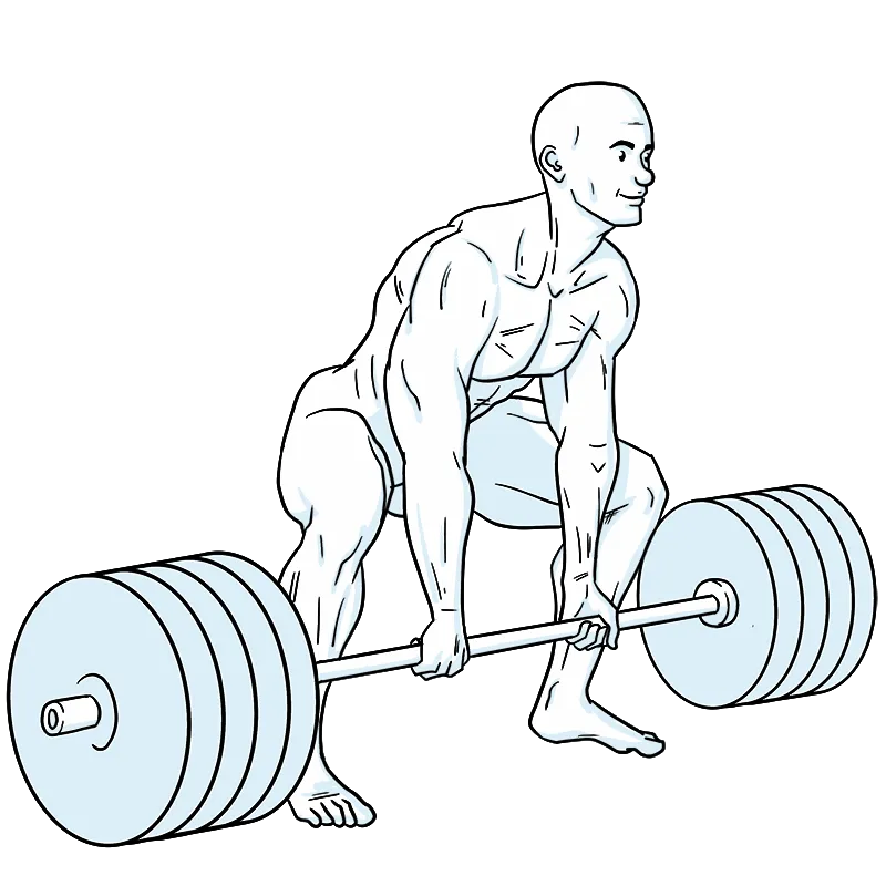 Illustration of a person performing a heavy deadlift with multiple weight plates.