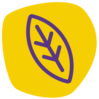 A purple leaf icon on an amorphous yellow background.
