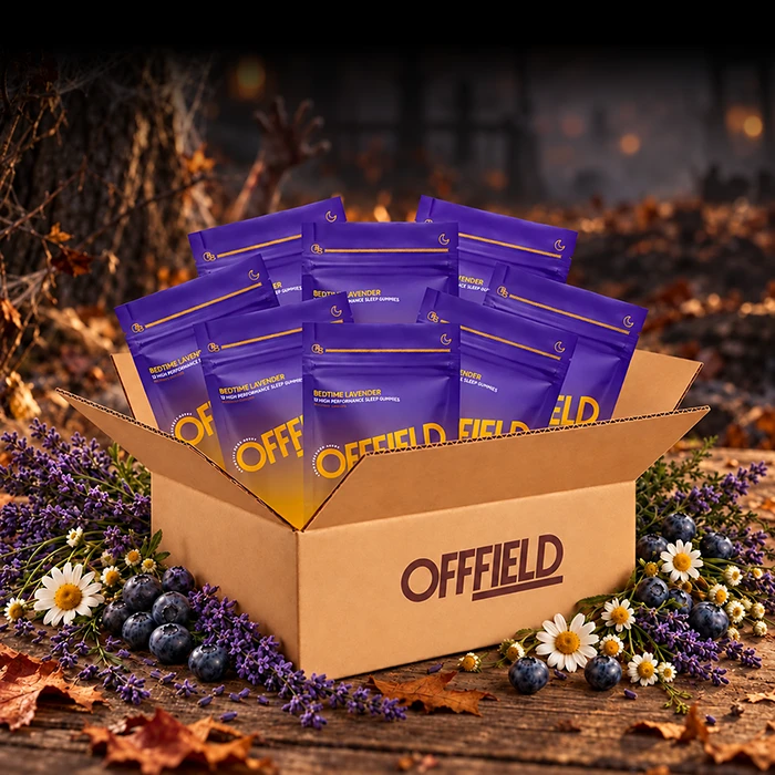A box of Offfield Bedtime Lavender pouches surrounded by lavender, blueberries, and chamomile in an autumn setting.