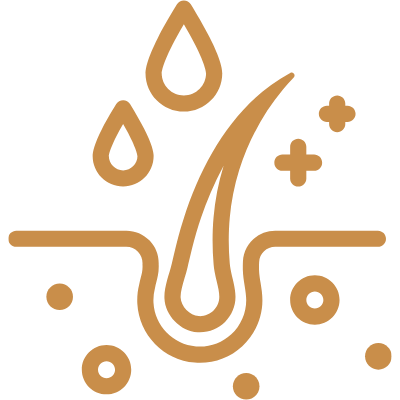 Orange icon depicting hair follicles and droplets.
