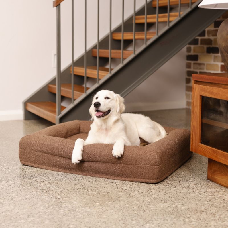 A white dog lying on a brown bed near a staircase indoors.
