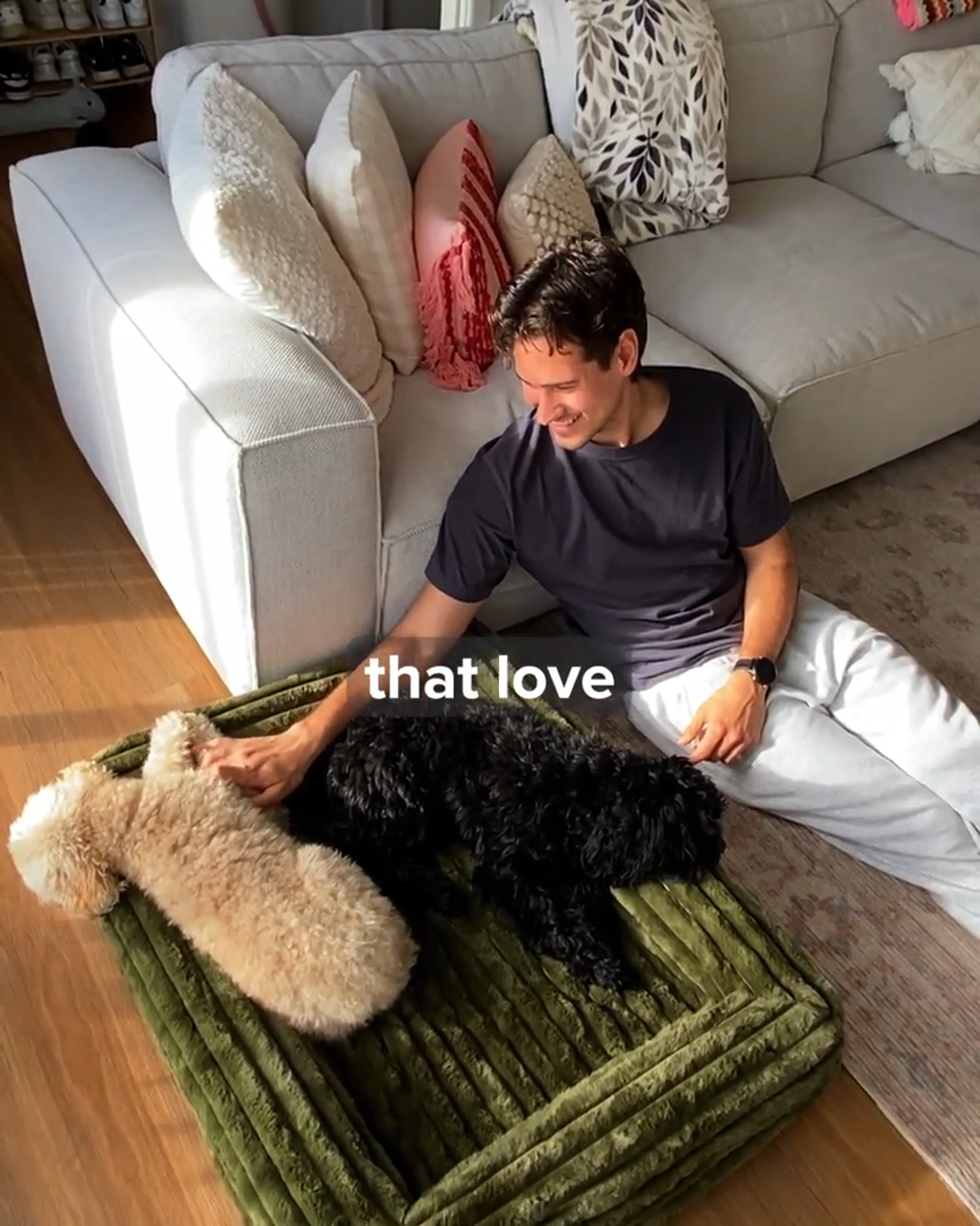 Person sitting on the floor petting two curly-haired dogs on a green cushion.