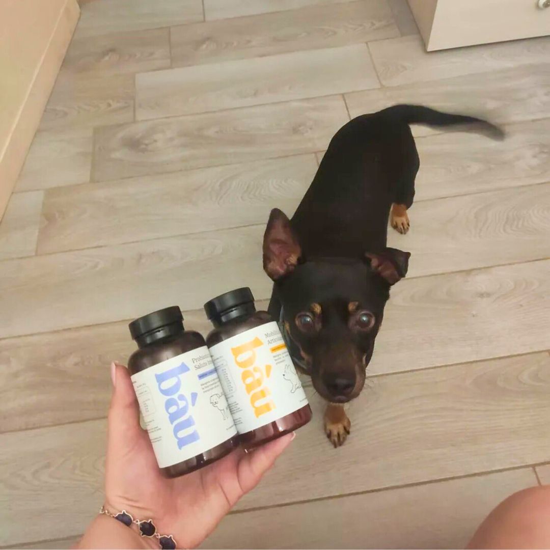Person holding two bottles, with a small black dog nearby on a wooden floor.