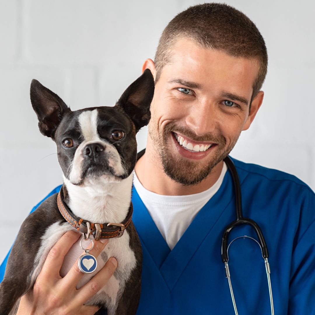 Smiling man in blue scrubs holding a black and white dog.
