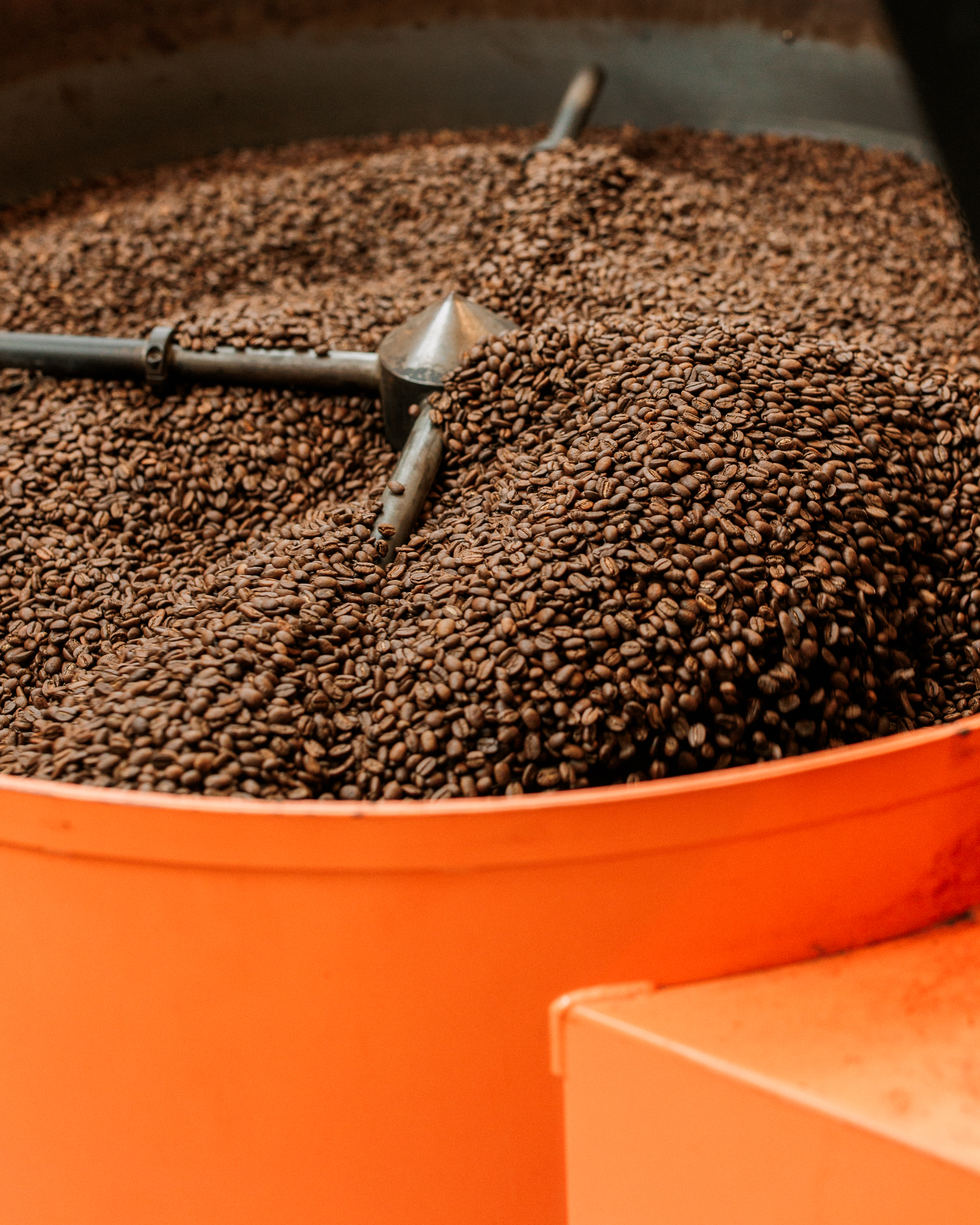 A close-up of roasted coffee beans being mixed in an industrial coffee roaster.