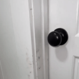 A black doorknob on a white door with visible smudges.