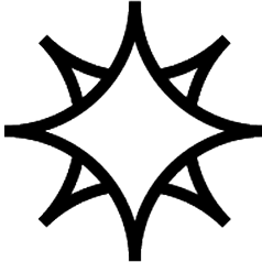 Abstract black star-like geometric shape on a white background.