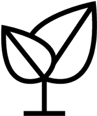 Simple line drawing of a plant with two leaves.