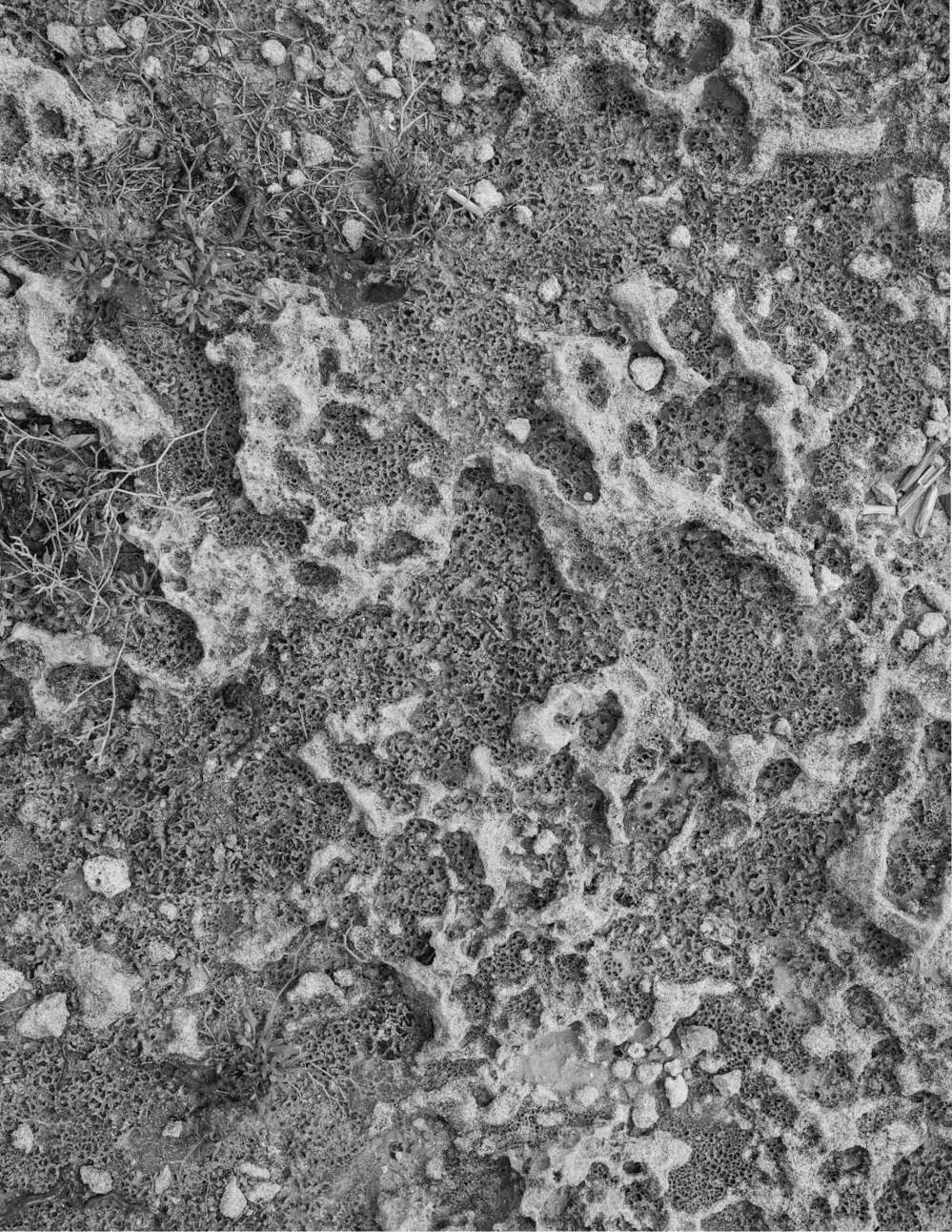 The Fulvic Acid Delivery Actually Gets Absorbed (Most Don't)