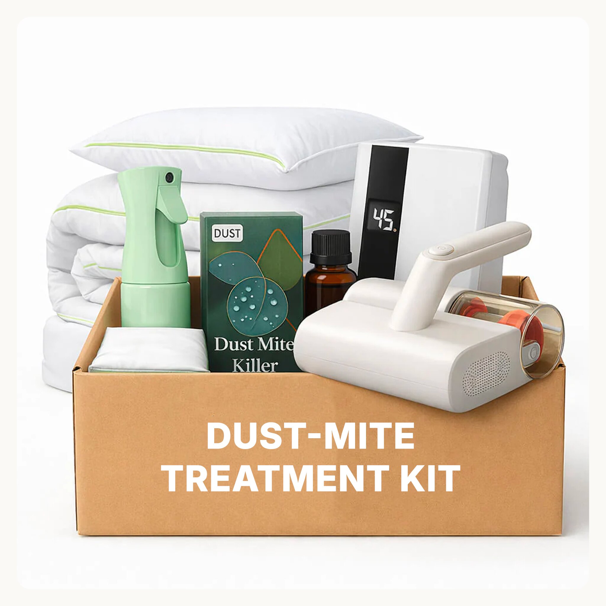 A Dust-Mite Treatment Kit in a box with a handheld vacuum, sprays, pillows, and other cleaning supplies.