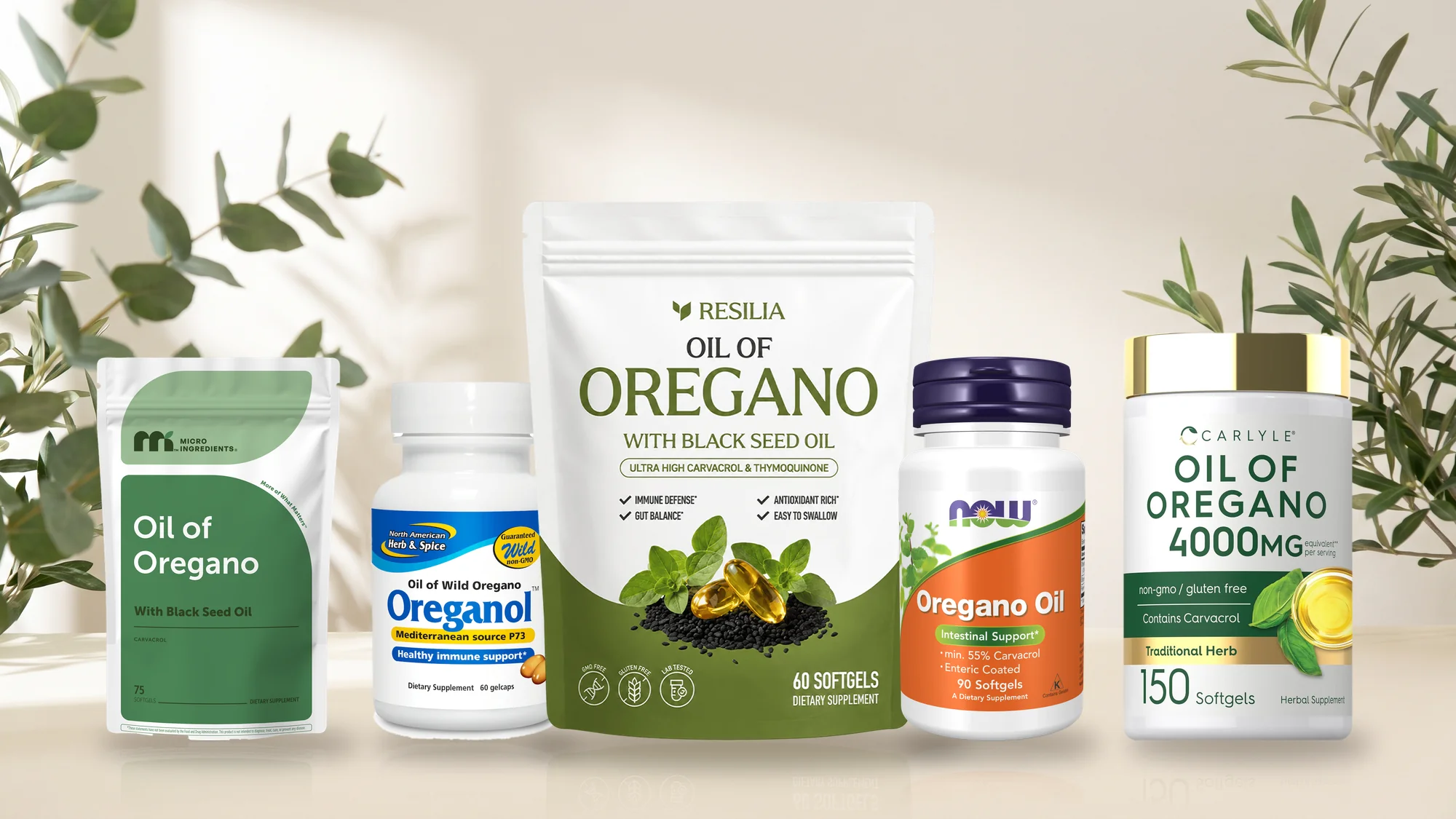 The 5 oil of oregano supplements we ranked