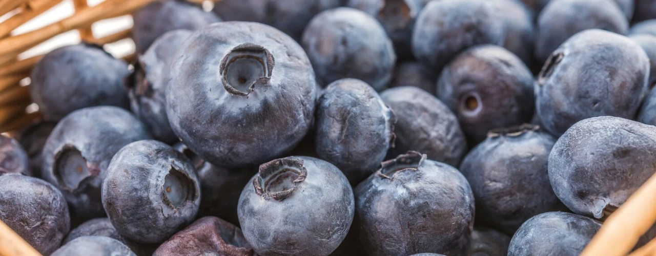 Close-up of fresh blueberries in a basket.