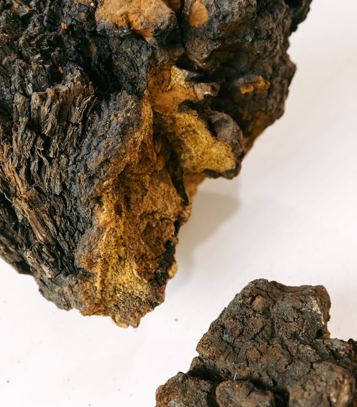 Close-up of dark, textured, irregularly shaped natural objects on a light background.