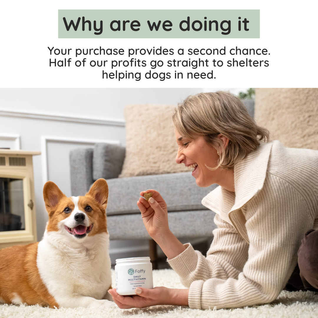Smiling person with a corgi, holding a jar of supplements and a treat.