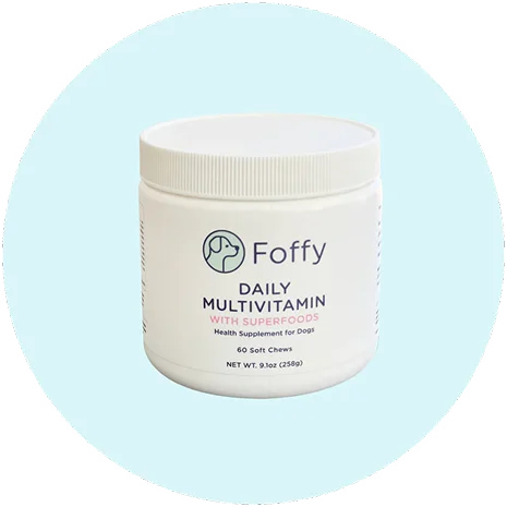 Container labeled 'Foffy Daily Multivitamin with Superfoods' for dogs on a light blue background.