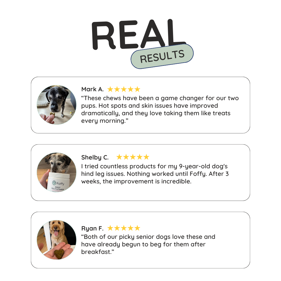 Three customer testimonials with dog photos and five-star reviews about pet chews.