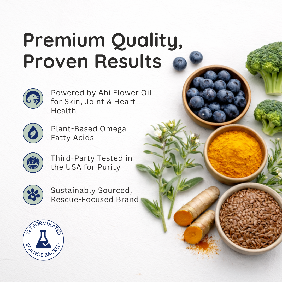 Text about premium quality supplements with images of blueberries, broccoli, flaxseed, turmeric, and herbs.