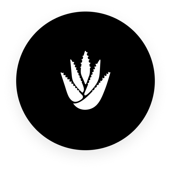 White aloe plant icon on a black circular background.