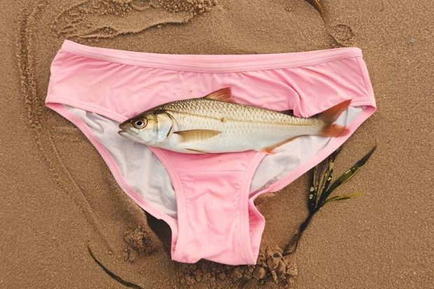 A fish lies on top of a pair of pink underwear on the sand.