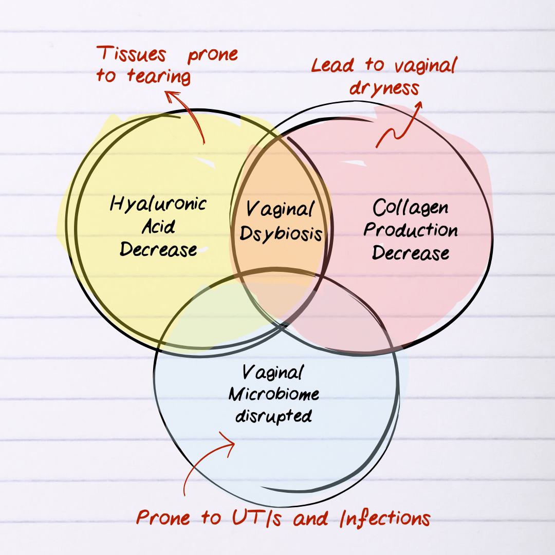 Venn diagram showing vaginal dysbiosis causes: hyaluronic acid decrease, collagen decrease, microbiome disruption.