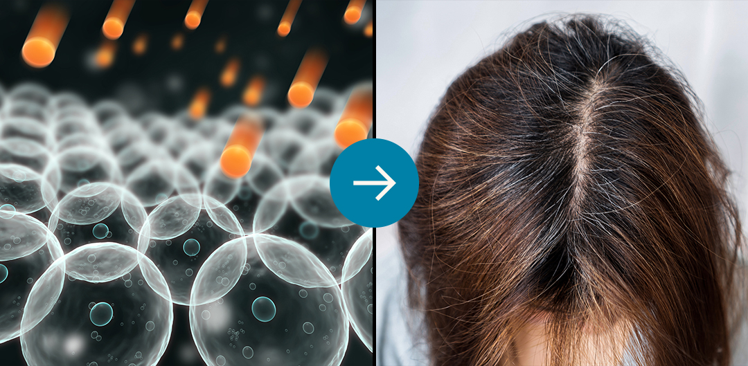Two-panel image: microscopic cells with arrows, and a person's hair divided by a parting.