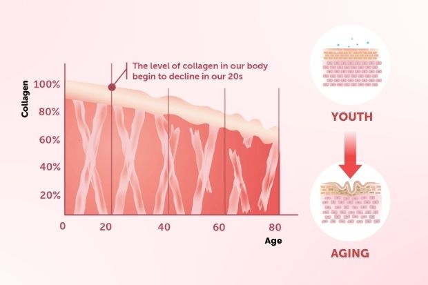 Infographic showing collagen decline with age and its effect on skin from youth to aging.