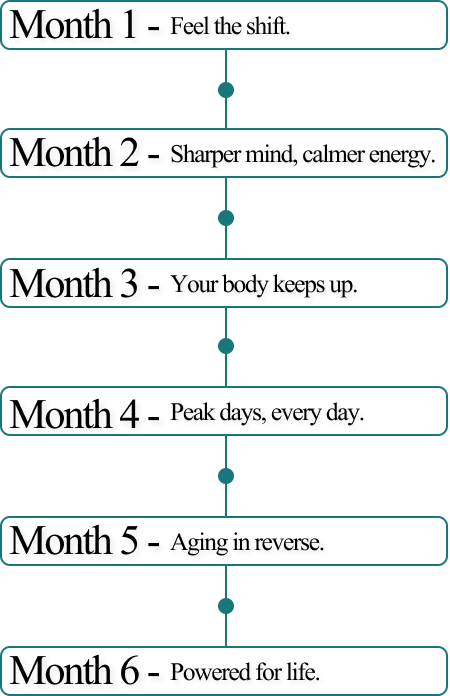 Timeline showing benefits from months 1 to 6 with positive statements.