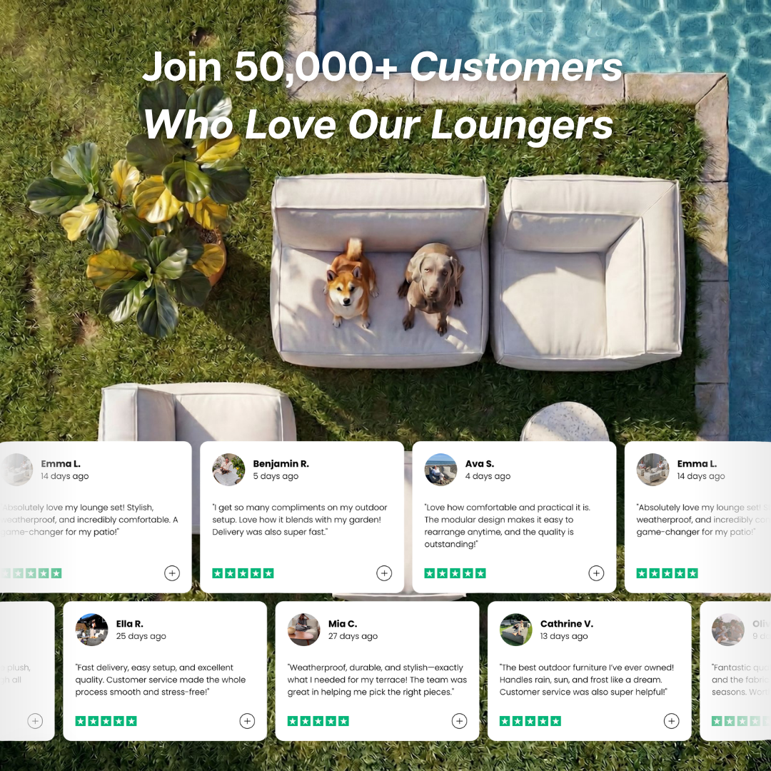 An aerial view of two dogs on outdoor loungers, surrounded by positive customer reviews.