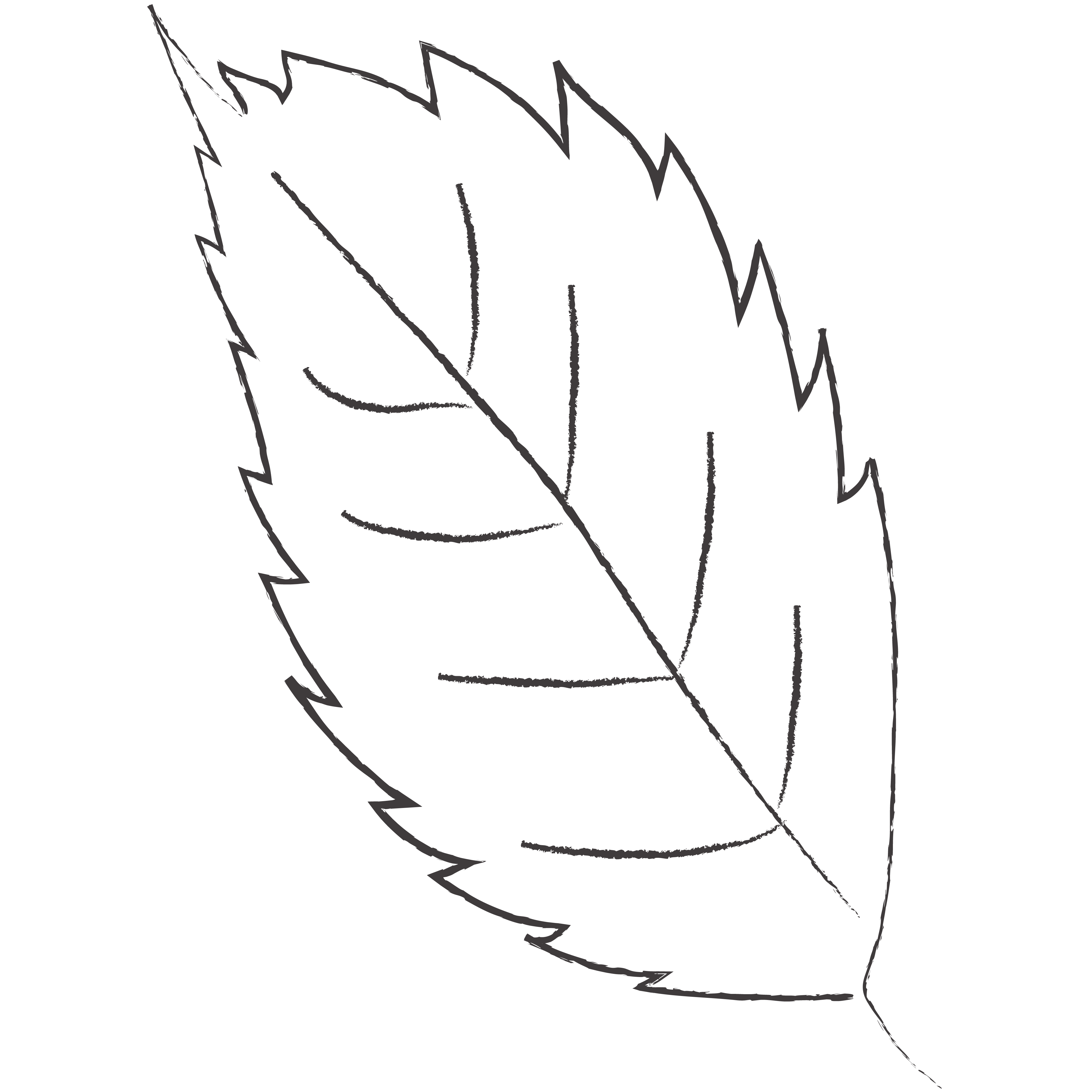 Simple line drawing of a leaf on a green background.