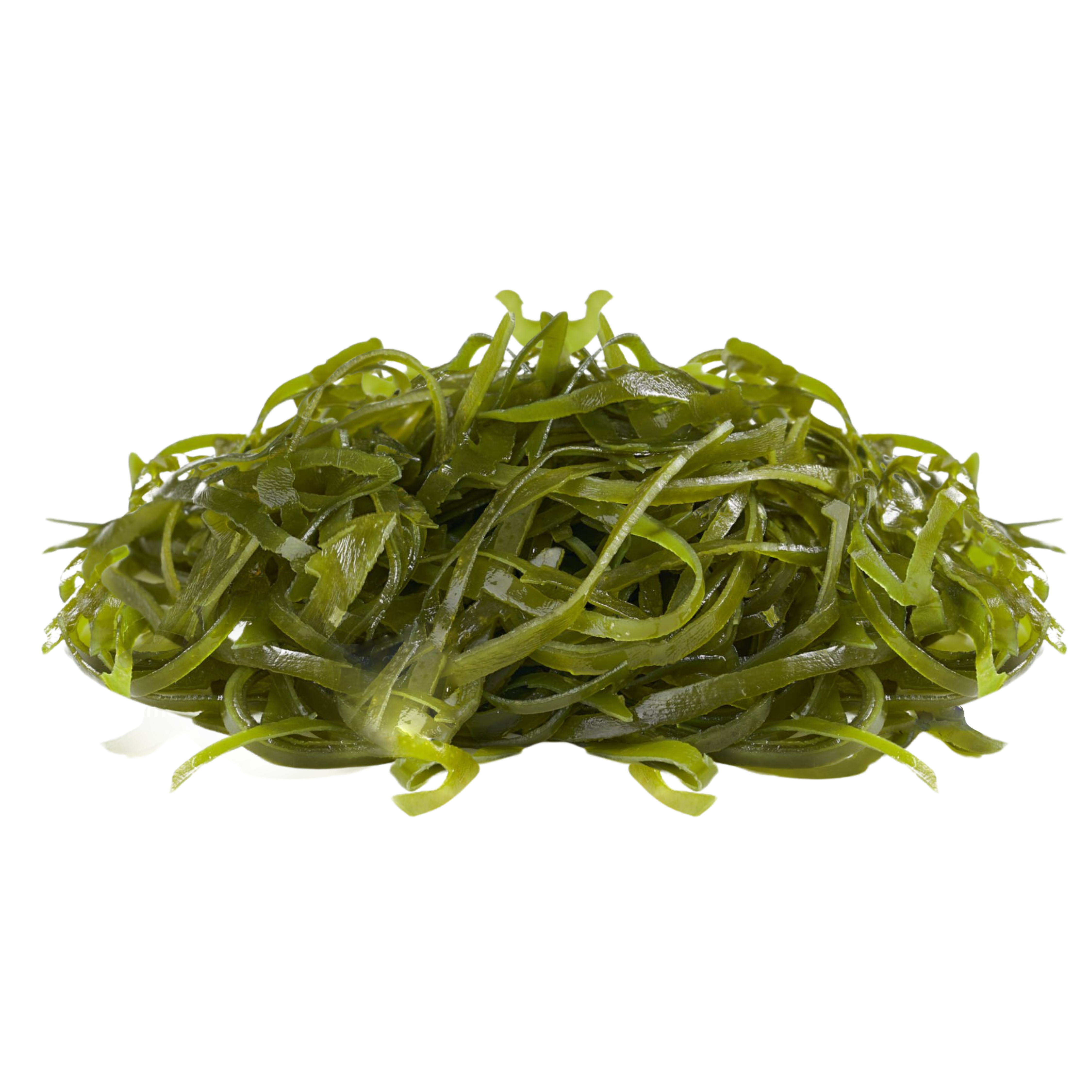 A pile of green seaweed on a plain background.