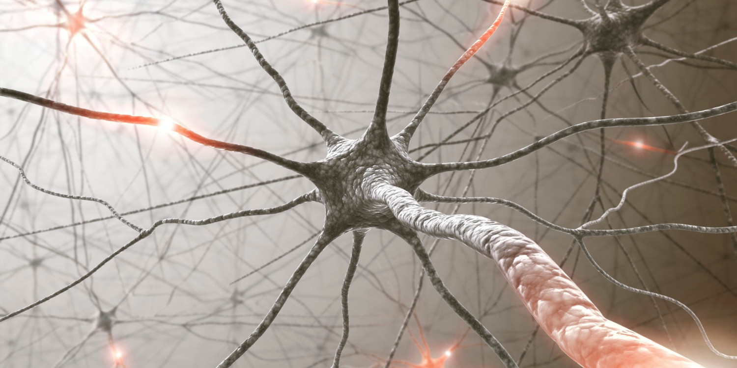 Illustration of interconnected neurons with glowing synapses.