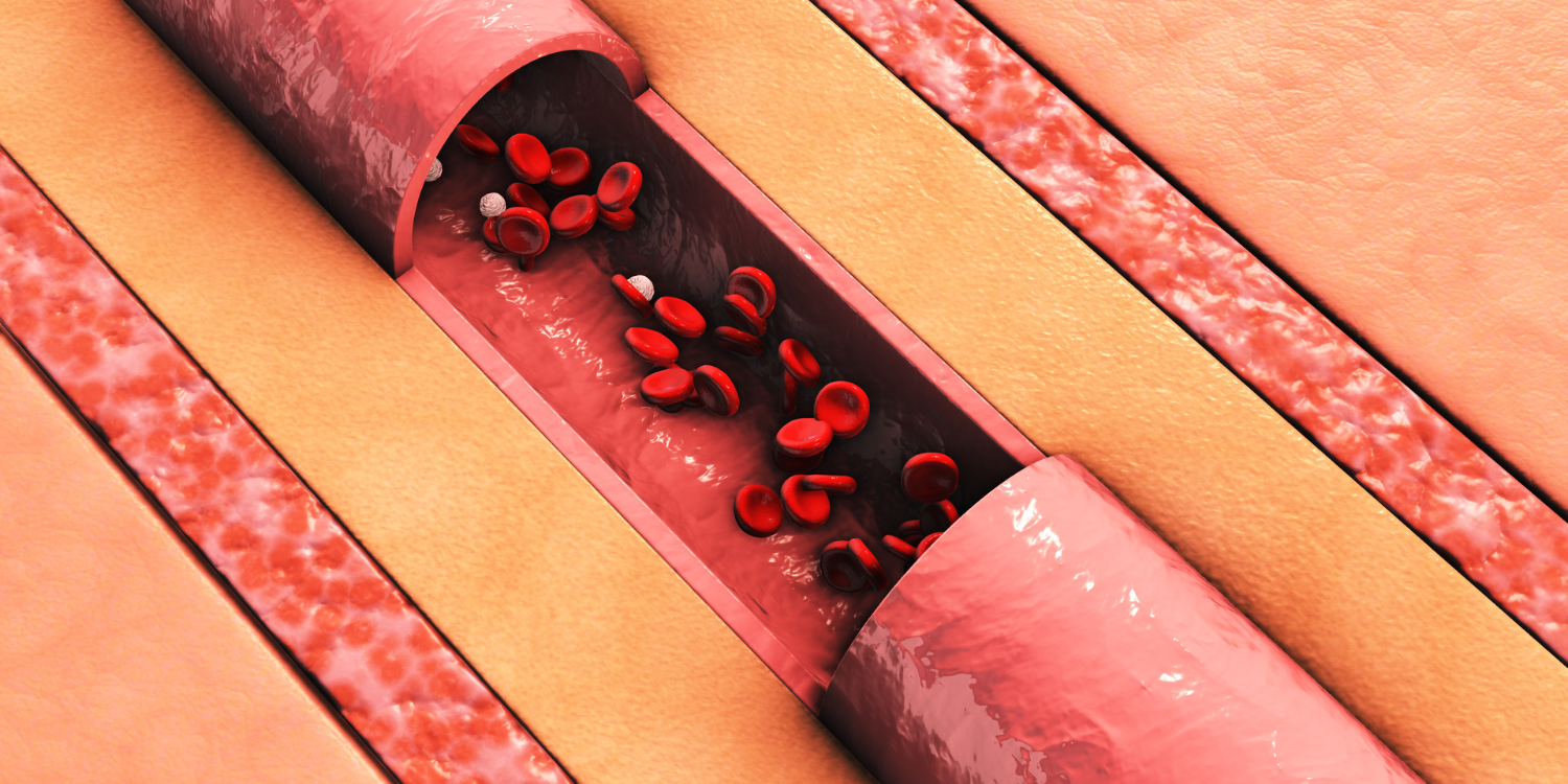 Illustration of a blood vessel with red blood cells inside.