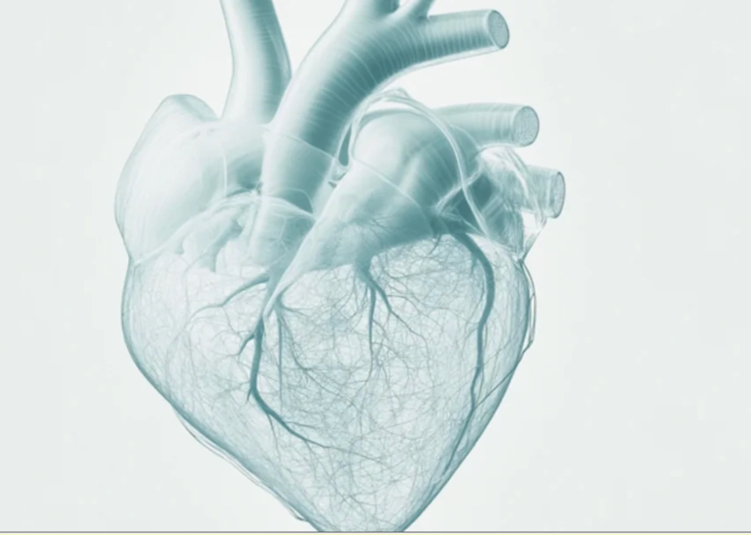 A semi-transparent, blue-tinted anatomical rendering of a human heart, showing its blood vessels against a white background.