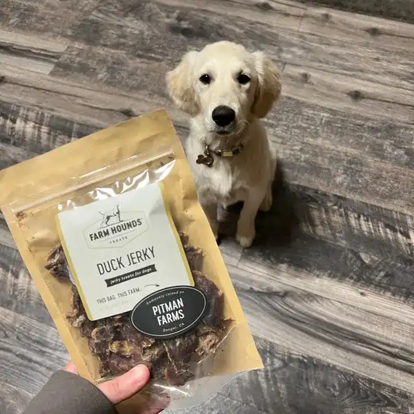 A person holds a bag of Duck Jerky dog treats in front of a light-colored puppy sitting on a floor.