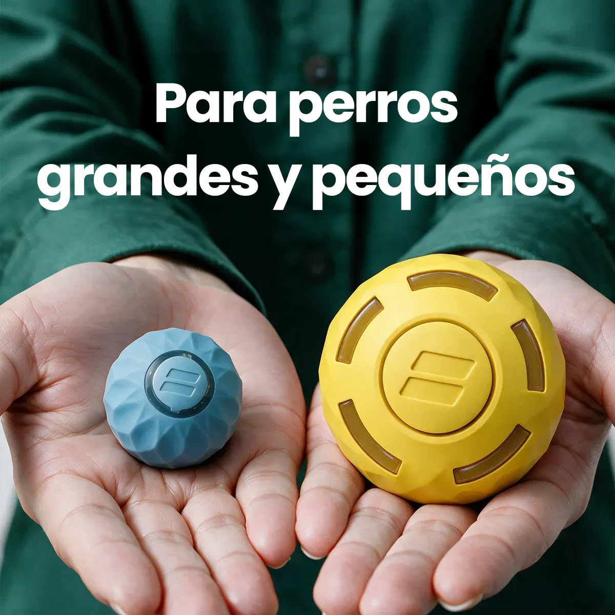 A person holds two different sized dog toy balls, one small and blue, one large and yellow.