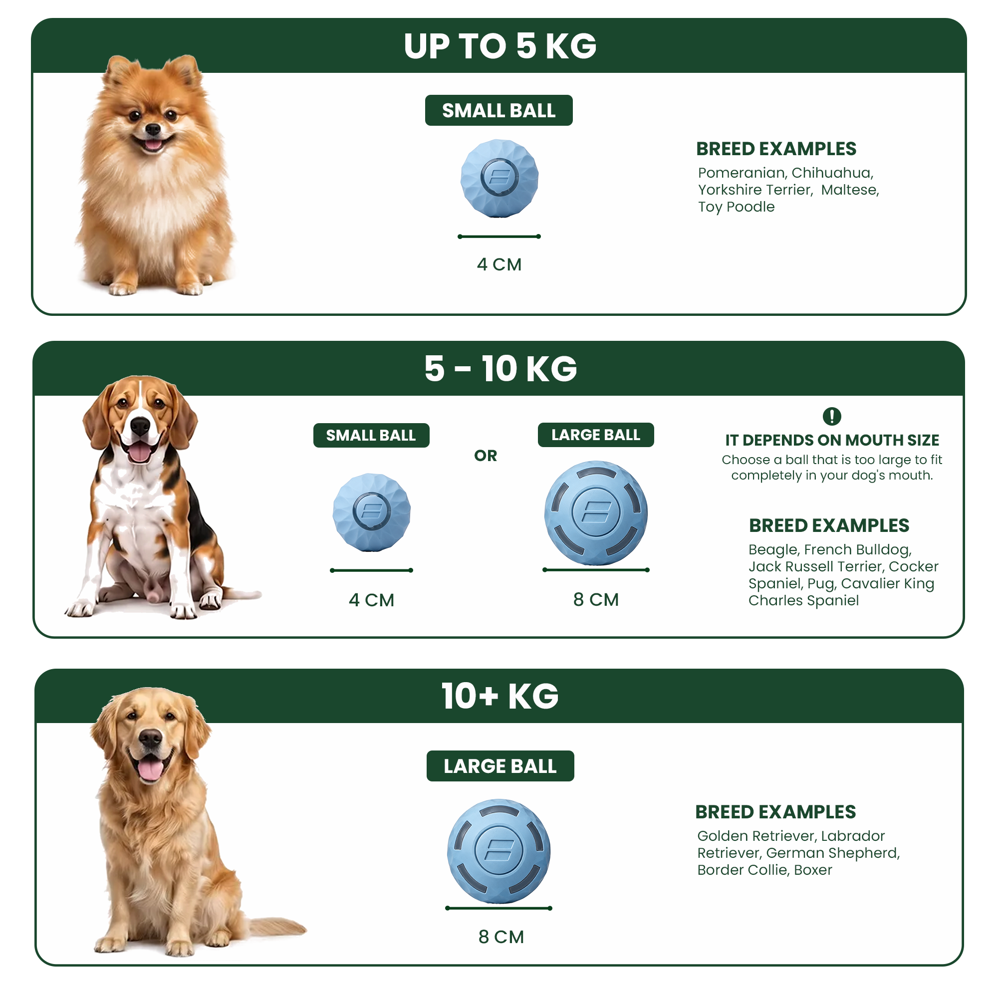 A size guide infographic for dog balls, categorized by dog weight with breed examples for each size.