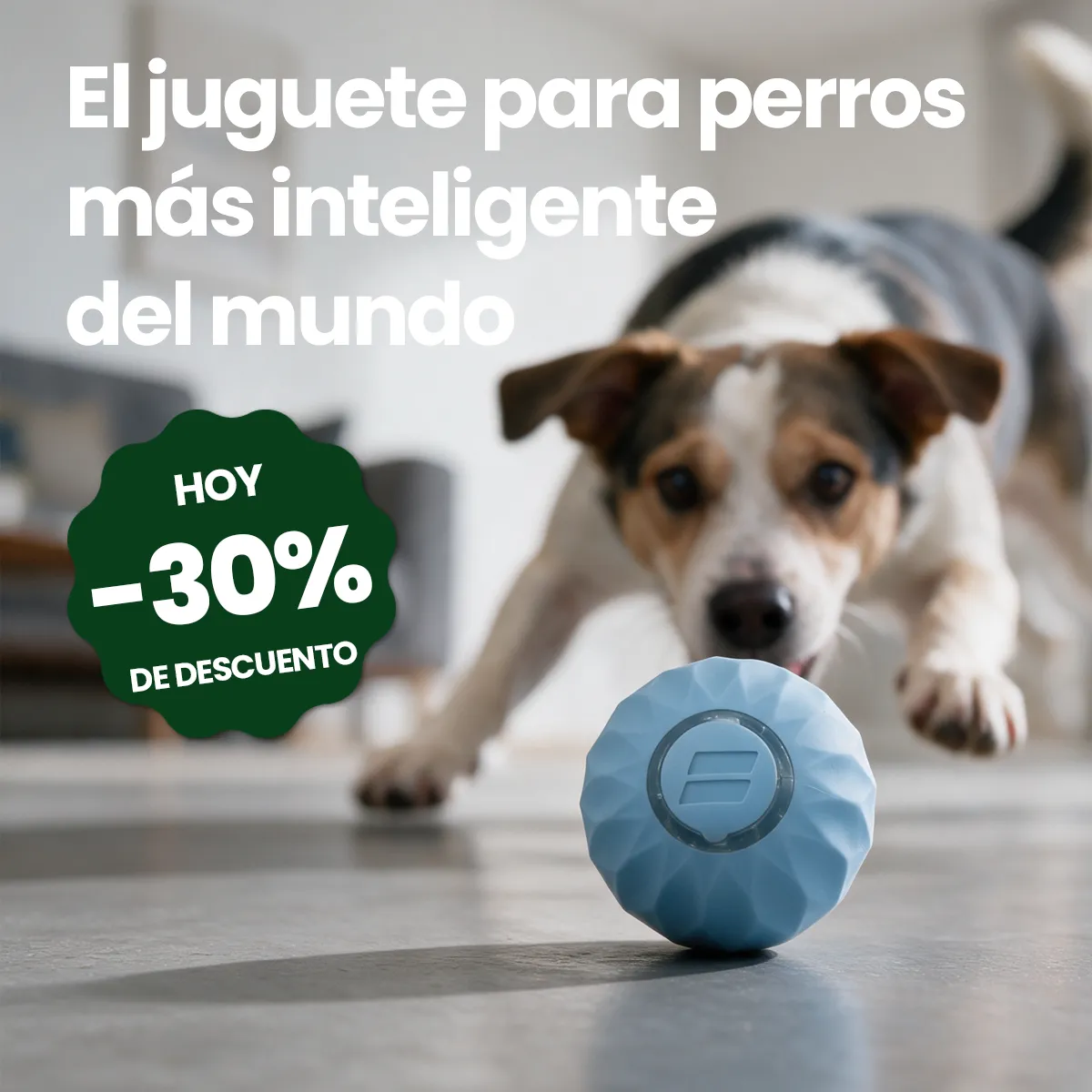 A dog lunges towards a light blue, faceted ball on a grey floor.