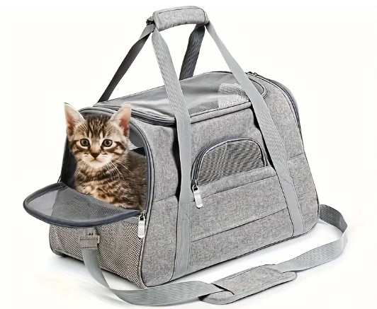 A kitten peeking out of a gray pet carrier bag.