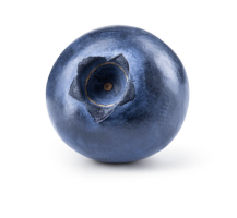 A close-up shot of a single blueberry on a white background.